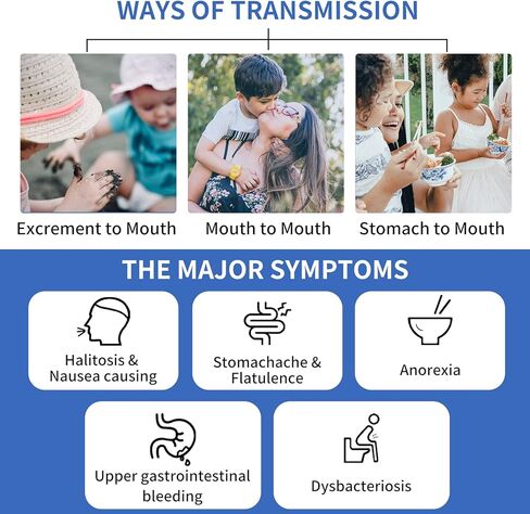 STARRIVER 4 اختبارات مجموعات اختبار H.Pylori، مجموعة الاختبار الذاتي H. Pylori، مجموعات اختبار هيليكوباكتر بيلوري للاستخدام المنزلي، دقيقة وسهلة الاستخدام in Kuwait