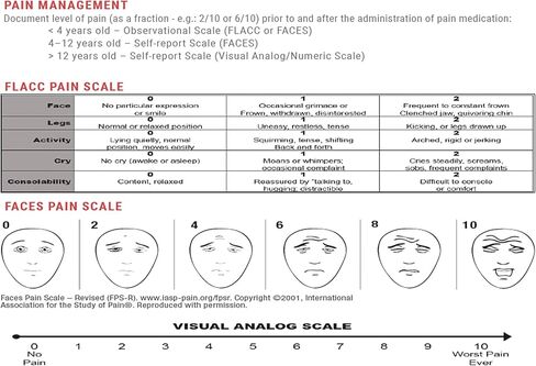 Dose By Growth Updated PALS (Reviewed in 2022) - Pediatric Advanced Life Support Emergency Length-Based Tape with Broselow Compatible Color Zones Designed for Paramedics, Nurses & EMS Providers in Kuwait