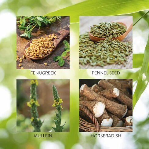 Nature's Sunshine Seasonal Allergy, 100 Capsules | Herbal Respiratory Supplement Helps Support the Body During Seasonal Changes in Saudi Arabia
