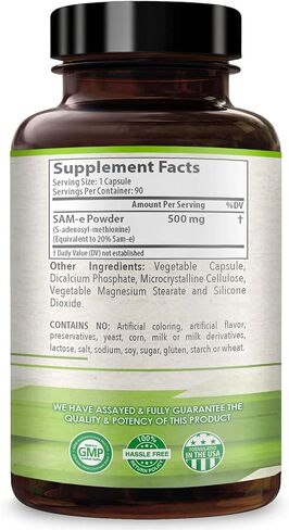 Healthy Way Pure SAM-e 500mg 90 كبسولة (S-Adenosyl Methionine) يدعم الصحة ووظيفة الدماغ، غير معدل وراثيًا، صنع في الولايات المتحدة الأمريكية in Kuwait