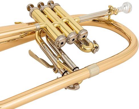 AUROSUS Flugelhorns SFH501G مع حافظة صلبة وقطعة الفم، مشغل الصمام الثالث، جرس وتركيبات من النحاس الذهبي، مع حافظة in Kuwait