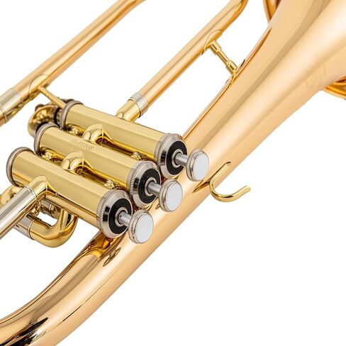 AUROSUS Flugelhorns SFH501G مع حافظة صلبة وقطعة الفم، مشغل الصمام الثالث، جرس وتركيبات من النحاس الذهبي، مع حافظة in Kuwait