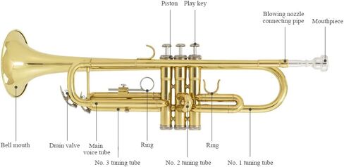 أداة بوق Bb من JUUXAAN نحاسية قياسية مع حافظة صلبة، حامل بوق خمس أرجل، قفازات، فتحة فم 7C وزيت صمام للمبتدئين (فضي) in Kuwait