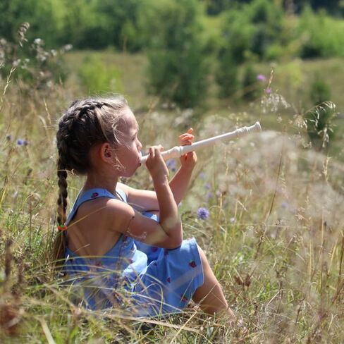 مسجلات سوبرانو ذات 8 فتحات، أداة تسجيل ديكانت، فلوت لطلاب المدرسة على الطراز الألماني، مع قضيب التنظيف والتعليمات in Kuwait