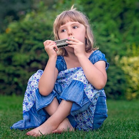 هارمونيكا للأطفال والكبار، مفتاح دياتونيكي لجهاز الفم C مع 10 فتحات و20 ملاحظة، ألعاب الآلات الموسيقية الزرقاء للمبتدئين، جائزة الفصل الدراسي، هدايا عيد الميلاد، حشوات تخزين عيد الميلاد in Kuwait