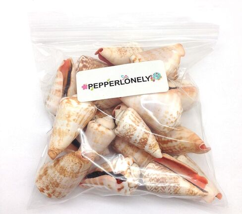 PEPPERLONELY 20PC Natural Strawberry Strombus Conch Sea Shells, 1-1/2 Inch ~ 2-1/4 Inch in Saudi Arabia