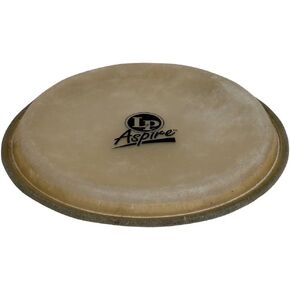 LP Aspire 8" Bongo Head in Saudi Arabia