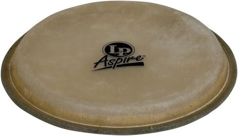 LP Aspire 8" رأس بونغو in Saudi Arabia