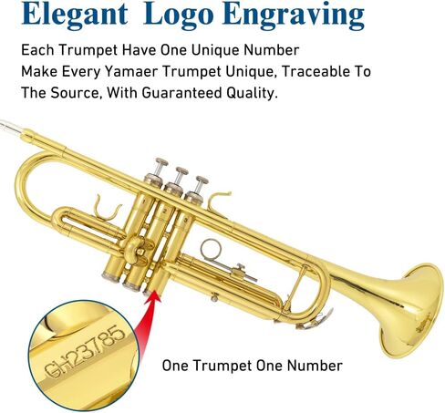 أداة بوق Bb من JUUXAAN نحاسية قياسية مع حافظة صلبة، حامل بوق خمس أرجل، قفازات، فتحة فم 7C وزيت صمام للمبتدئين (فضي) in Kuwait