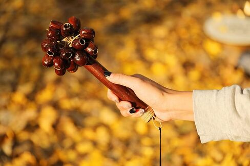 جهاز هزاز Pala Seed Shell Rod - يُنشئ صوتًا ناعمًا ومهدئًا للتأمل أو ASMR أو العلاج الصوتي أو اليوجا، ضمان لمدة عامين in Kuwait