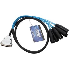Elite Core DB25XM10 25-Pin D-Sub to 8 XLR Male Breakout Snake, 10-Feet