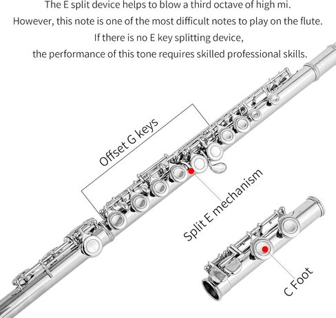 Cadway New C Flutes فتحة مغلقة 16 مفتاح فلوت للأطفال المبتدئين أداة فلوت للطلاب مع مجموعة تنظيف، حامل، قفازات، قضيب ضبط، حقيبة حمل، (أحمر عتيق) in Kuwait