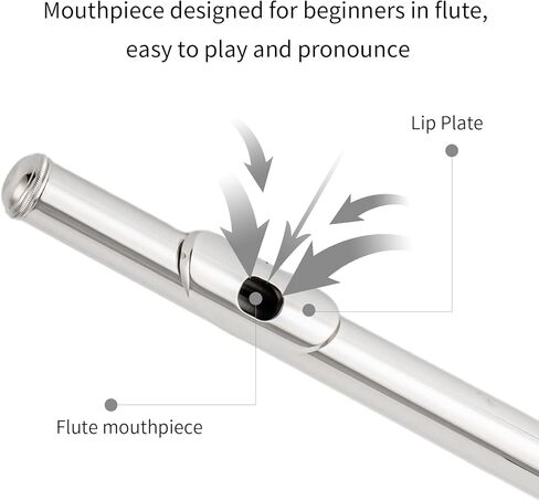 Cadway New C Flutes فتحة مغلقة 16 مفتاح فلوت للأطفال المبتدئين أداة فلوت للطلاب مع مجموعة تنظيف، حامل، قفازات، قضيب ضبط، حقيبة حمل، (أحمر عتيق) in Kuwait