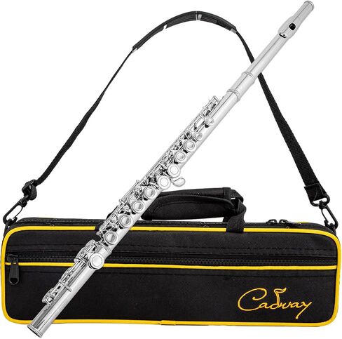 Cadway New C Flutes فتحة مغلقة 16 مفتاح فلوت للأطفال المبتدئين أداة فلوت للطلاب مع مجموعة تنظيف، حامل، قفازات، قضيب ضبط، حقيبة حمل، (أحمر عتيق) in Kuwait