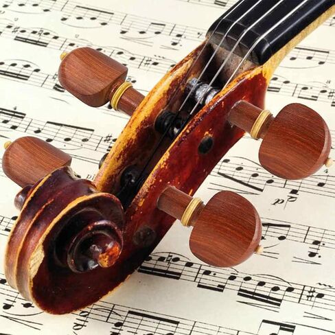 4 قطع 4/4 حجم كمان ضبط الأوتاد الكمان الخشبية Jujube استبدال الكمان ل4/4 حجم الكمان in Kuwait