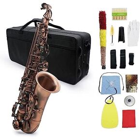Btuty Bronze Alto Saxophone Bend Eb E-flat Alto Saxophone Sax High Grade Antique Finish Abalone Shell Key Carve Pattern with Case Gloves Cleaning Cloth Straps Brush
