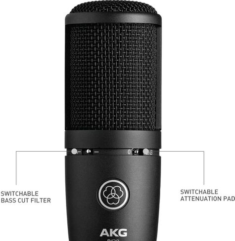 ميكروفون تسجيل للأغراض العامة عالي الأداء من AKG P120 in Kuwait