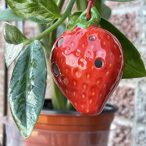 قلادة 4 فتحات Ocarina - تصميم الفراولة - السيراميك - سوبرانو F - قلادة الناي - Focalink - رفيق مثالي للسفر - مجوهرات يمكنك أن تلعب - موازين وأغاني وتعليمات مجانية in Kuwait