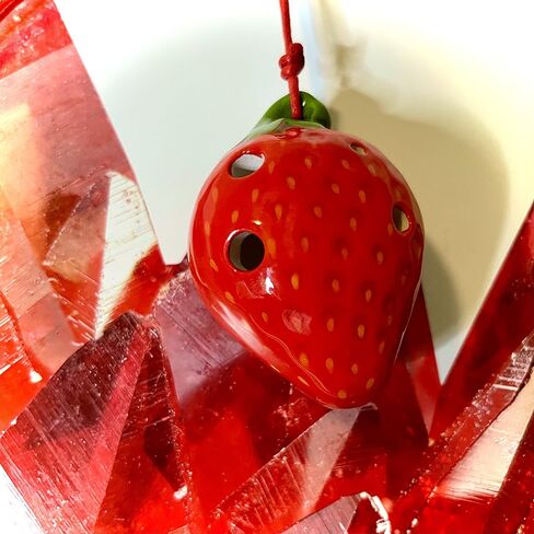 قلادة 4 فتحات Ocarina - تصميم الفراولة - السيراميك - سوبرانو F - قلادة الناي - Focalink - رفيق مثالي للسفر - مجوهرات يمكنك أن تلعب - موازين وأغاني وتعليمات مجانية in Kuwait