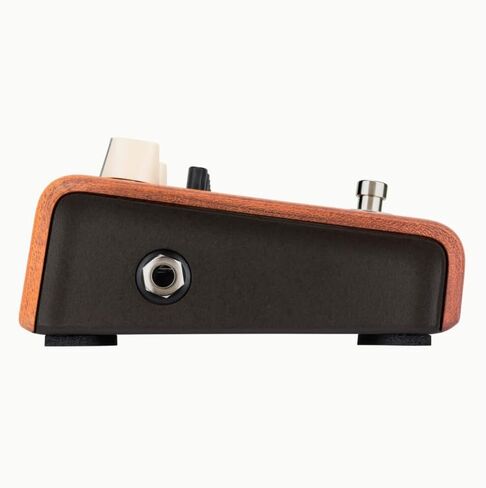 LR Baggs Align Series Equalizer Acoustic Guitar EQ Pedal Bundle w/ 12x Fender Picks and Liquid Audio Polishing Cloth in Saudi Arabia
