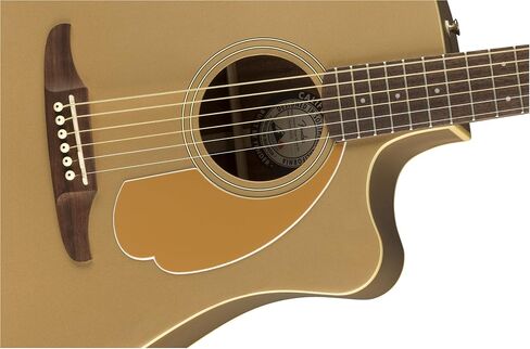 Fender Redondo Player Acoustic Electric Guitar Bundle with Midnight Blue Gig Bag, Strap, Clip-on Tuner, Strings, String Winder, Picks, and Austin Bazaar Instructional DVD - Natural in Saudi Arabia