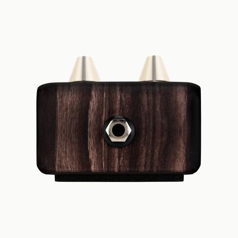 LR Baggs Align Series Delay Acoustic Pedal Bundle w/ 12x Picks and Liquid Audio Polishing Cloth in Saudi Arabia
