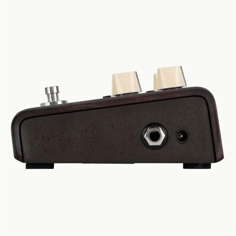 LR Baggs Align Series Delay Acoustic Pedal Bundle w/ 12x Picks and Liquid Audio Polishing Cloth in Saudi Arabia