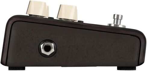 LR Baggs Align Series Delay Acoustic Pedal Bundle w/ 12x Picks and Liquid Audio Polishing Cloth in Saudi Arabia