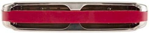 Hohner Golden Melody Harmonica - Key of C Bundle with Zip Case, Instructional Manual, and Austin Bazaar Polishing Cloth in Kuwait