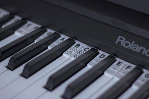 The Piano Rake (Piano Guide) | Learn Notes Instantly | Ultimate Accessory | Better Than Messy Stickers | Fits All Full-Size Key Pianos & Keyboards | 35 Key Length Shows Grand Stave in Kuwait