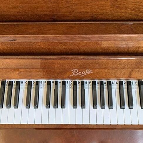 The Piano Rake (Piano Guide) | Learn Notes Instantly | Ultimate Accessory | Better Than Messy Stickers | Fits All Full-Size Key Pianos & Keyboards | 35 Key Length Shows Grand Stave in Kuwait