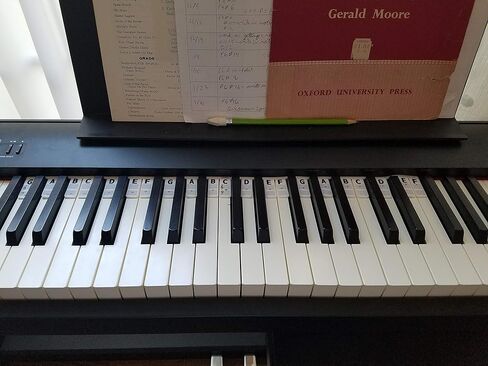 The Piano Rake (Piano Guide) | Learn Notes Instantly | Ultimate Accessory | Better Than Messy Stickers | Fits All Full-Size Key Pianos & Keyboards | 35 Key Length Shows Grand Stave in Kuwait