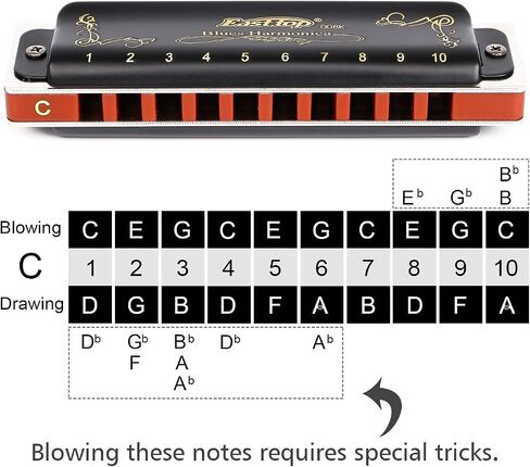 Easttop Harmonica Key of C 10 فتحات 20 نغمة هارمونيكا C Blues مع حافظة عالية الجودة عالية التحمل للاعبين المحترفين والمبتدئين والطلاب والأطفال وهدية الأطفال (الجزء العلوي الشرقي) - أسود in Kuwait