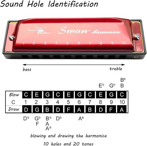 Harmonica Armonica Mouth Organ Blues Harmonica Key of C 10 Hole 20 Tone Polyphony Diatonic Harp with Case for Blues Folk Jazz Pop for Music Student Teacher Teaching Beginner Gift in Kuwait