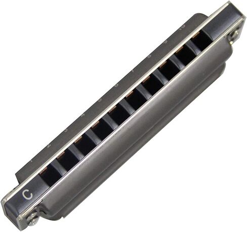 East top Upgrade Diatonic Blues Harmonica Key of C, 10 Hole Diatonic Blues Harp Mouth Organ Harmonica, Advanced PR020 Harmonicas For Adults, Professionals and Students(Blue) in Kuwait
