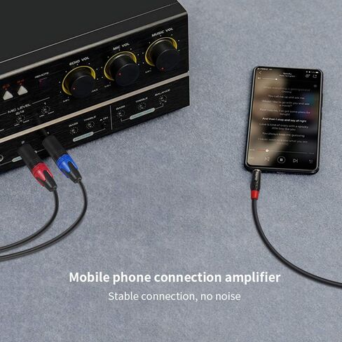 1/8 Inch to Dual XLR Male Y-Splitter Cable,Unbalanced 3.5mm Mini Jack TRS Stereo Aux to Double Male XLR Adapter Interconnect Breakout Patch Cord - 3.3 Feet/1 Meter in Kuwait
