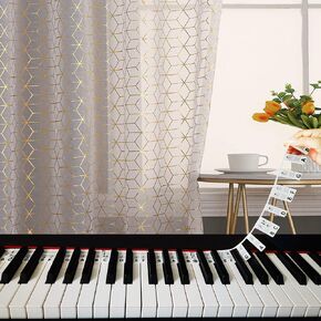 دليل Fansoun Piano Notes للمبتدئين، ملصقات لوحة مفاتيح البيانو القابلة للإزالة للتعلم، بحجم كامل 88 مفتاحًا، مصنوعة من السيليكون، قابلة لإعادة الاستخدام وهدايا البيانو للمبتدئين in Kuwait