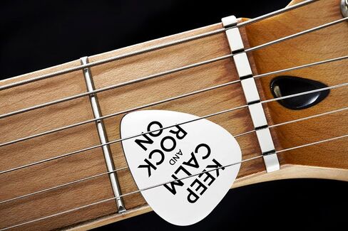 LRUIOMVE Funny Stainless Steel Guitar Picks with Cowhide Leather Case - Keep Calm and Rock On, for Son Daughter Men Women Musician Guitar Player Family Birthday Christmas Gift in Kuwait