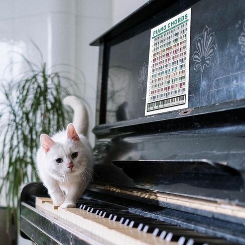 قطعتان من مخطط أوتار البيانو للمبتدئين، ملصق مخطط بيانو مقاس 8.3 × 11.8 بوصة، مخطط أوتار بيانو مقاوم للماء، للطلاب، معلمي الموسيقى، الملحنين، عشاق الموسيقى in Kuwait