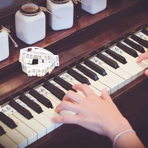 ملصقات ملاحظات لوحة مفاتيح البيانو قابلة للإزالة، 88 ملصقًا ملونًا للوحة مفاتيح البيانو بالحجم الكامل للتعلم، ملصقات مفاتيح البيانو للأطفال المبتدئين، لا يوجد غراء ولا حاجة إلى ملصقات in Kuwait