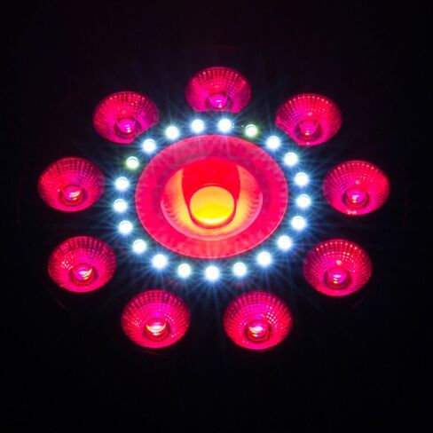 CHAUVET DJ FX Par 3, Black (FXPAR3) in Saudi Arabia