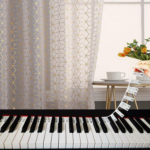 دليل Fansoun Piano Notes للمبتدئين، ملصقات لوحة مفاتيح البيانو القابلة للإزالة للتعلم، بحجم كامل 88 مفتاحًا، مصنوعة من السيليكون، قابلة لإعادة الاستخدام وهدايا البيانو للمبتدئين in Kuwait