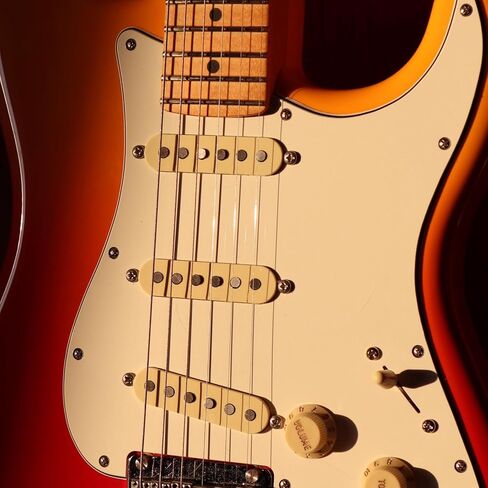 MAXCHEER Alnico 5 Strat Pickup Single Coil Pickups جيتار الرقبة/الوسط/الجسر لاقط للجيتار الكهربائي Strat Squier (أسود) in Kuwait