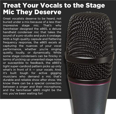 Sennheiser e865 S Lead Vocal Condenser Microphone with Switch,Charcoal in Saudi Arabia