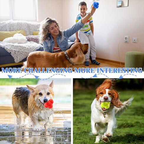 مجموعة أدوات تدريب سرعة التفاعل المكونة من 8 قطع - تتضمن عصا واحدة للتنسيق بين اليد والعين، و7 كرات مطاطية للتفاعل، ويمكن لمدرب التقاط التفاعلات تحسين الانعكاس/الرشاقة/التركيز للرياضة والتمرين والمرح لجميع الأعمار in Kuwait