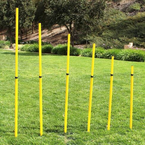Bluedot Trading Soccer Agility Training Poles, Fixed or Adjustable (4,6,8pc-set) in Saudi Arabia