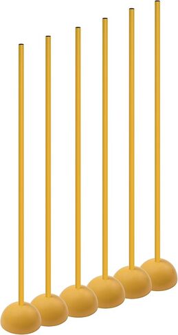 Champion Sports CK60 Coaching Sticks with Base in Saudi Arabia