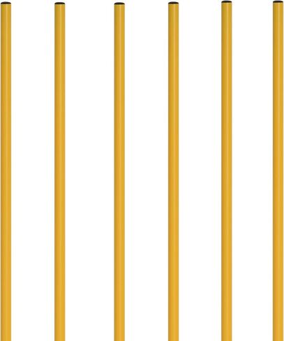 Champion Sports CK60 Coaching Sticks with Base in Saudi Arabia