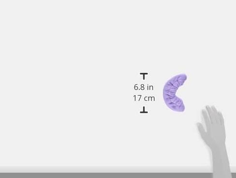 A&R Sports in Kuwait