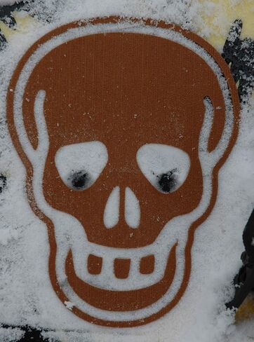 تو جامر لوح تزلج على الجليد - جمجمة كبيرة - بني in Kuwait